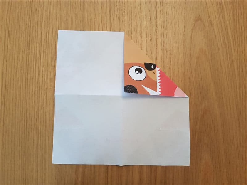 שלב 3 — צילום הקיפול